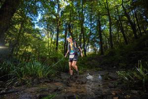 BIB: 
                            <button type="button" onclick="openModal(19229523)" class="btn btn-primary btn-sm float-right btn-popup" data-toggle="modal" data-target=".modal-high-quality">
                        <i class="fas fa-shopping-cart"></i> Add to Cart
                    </button>
                                            <button type="button" onclick="isThisMe(19229523, true)" class="btn btn-success btn-sm float-right btn-popup btn-isme hidden" data-toggle="tooltip" data-placement="bottom" title="นี่คือรูปของคุณใช่ไหม คลิกที่นี่เพื่อเอาเข้าอัลบั้ม">
                        <i class="fas fa-plus"></i> Add to album
                    </button>
                    <button type="button" onclick="isThisMe(19229523, false)" class="btn btn-warning btn-sm float-right btn-popup btn-isnotme hidden">
                        <i class="fas fa-ban"></i> Remove from album
                    </button>